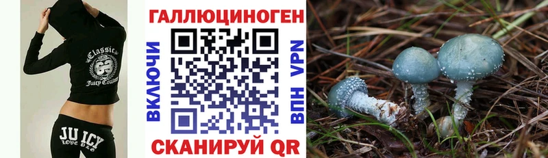 блэк спрут tor  Березники  Галлюциногенные грибы Cubensis 